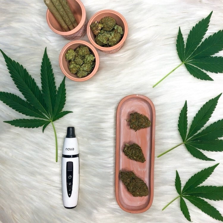 Nova Dry Herb Vaporizer (Flame Red)
